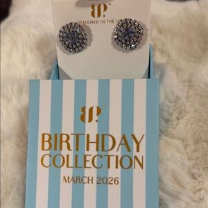 Elegant Silver Earrings by BP